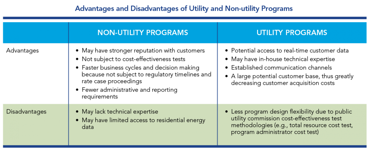 Advantages and Disadvantages of Utility and Non-utility Programs